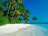 пляж фотографии beach photo