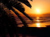 пляж фотографии beach photo