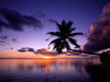 пляж фотографии beach photo