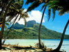 пляж фотографии beach photo