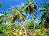 пляж фотографии beach photo