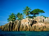 пляж фотографии beach photo