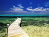 пляж фотографии beach photo