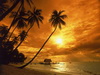 пляж фотографии beach photo