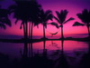 пляж фотографии beach photo