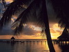 пляж фотографии beach photo