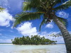 пляж фотографии beach photo