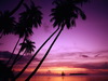 пляж фотографии beach photo