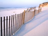 пляж фотографии beach photo