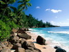 пляж фотографии beach photo