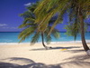 пляж фотографии beach photo