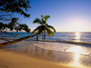 пляж фотографии beach photo
