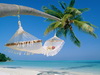 пляж фотографии beach photo