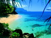 пляж фотографии beach photo