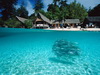 пляж фотографии beach photo