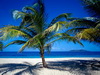 пляж фотографии beach photo