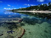 пляж фотографии beach photo