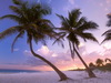 пляж фотографии beach photo