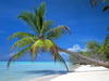 пляж фотографии beach photo