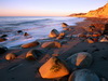 пляж фотографии beach photo
