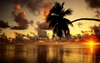 пляж фотографии beach photo