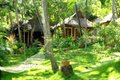 Золотой треугольник + отдых на океане (Керала)
