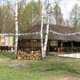 IMG_4953.jpg