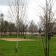IMG_4959.jpg