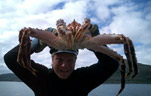 Рыболовный тур в Mehamn Nordicsafari