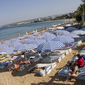 ROYAL ROSE HOTEL